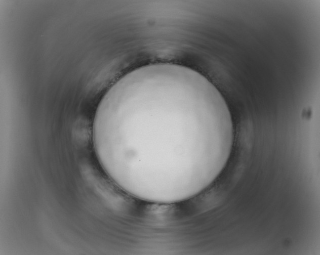 X0000111930135200908241125