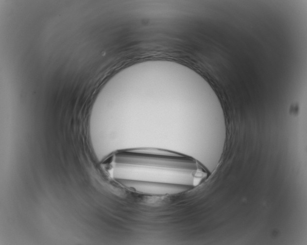 X0000111930136200908241125