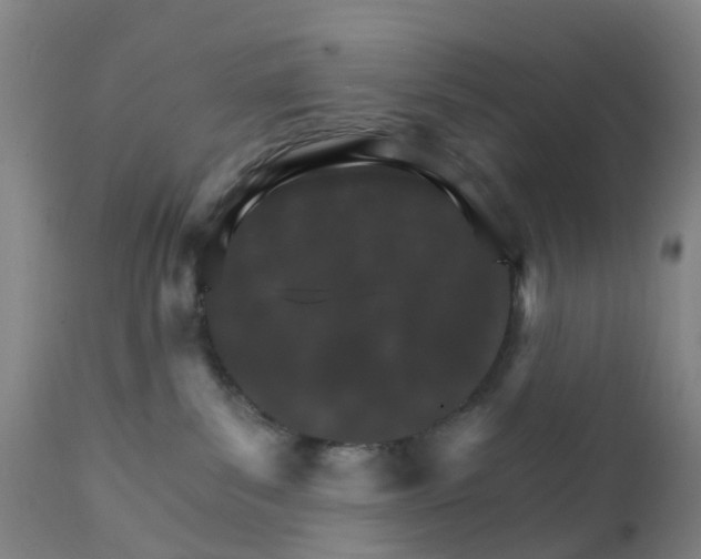 X0000111930139200908241124