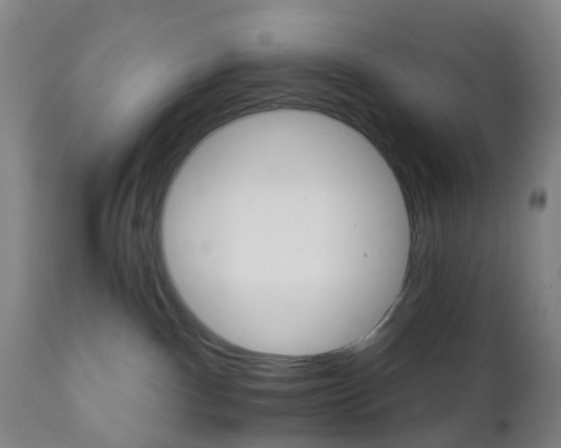 X0000111930140200908241124