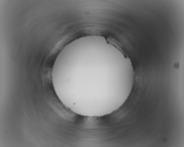 X0000111930141200908241124