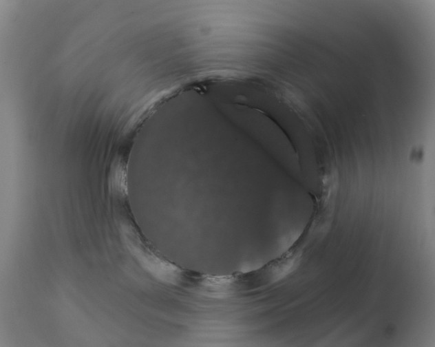 X0000111930143200908241124