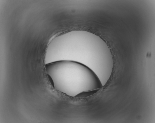 X0000111930144200908241124