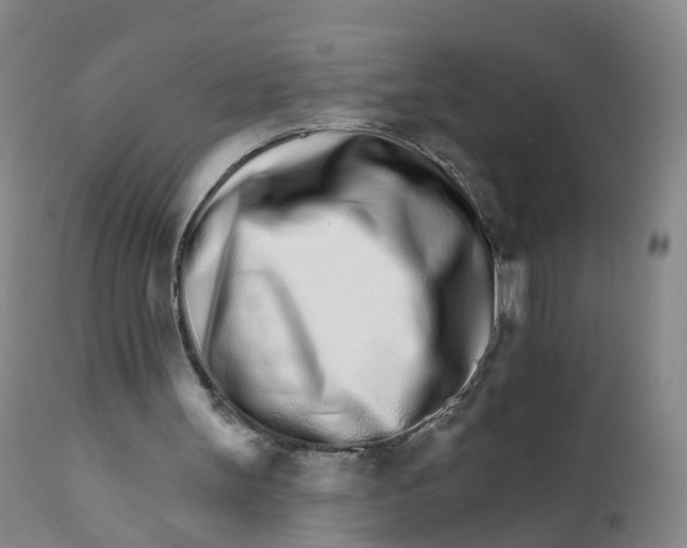 X0000111930147200908241124