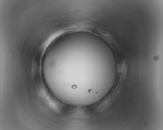 X0000111930148200908241124