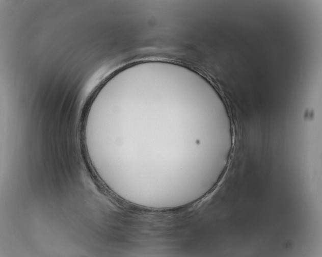 X0000111930150200908241124