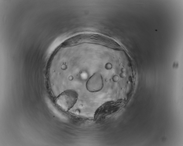 X0000111930151200908241124