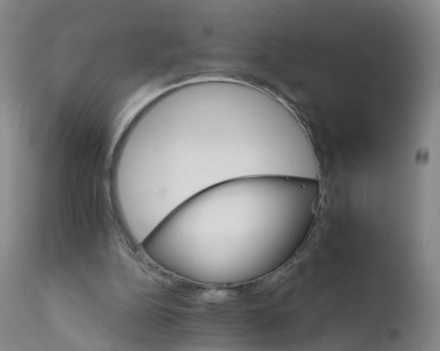 X0000111930152200908241124