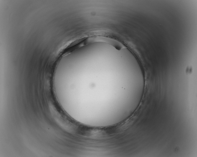 X0000111930154200908241124