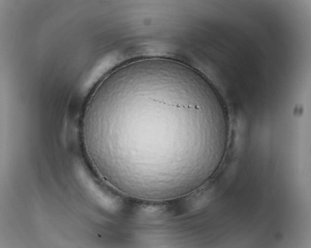 X0000111930155200908241124