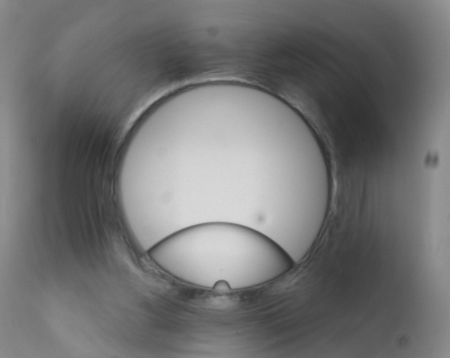 X0000111930156200908241124