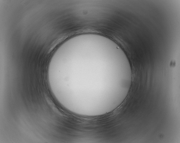 X0000111930158200908241124