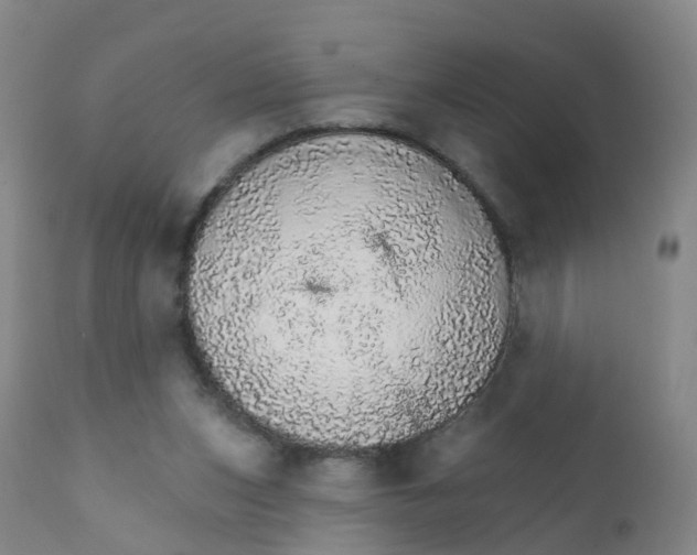 X0000111930159200908241124