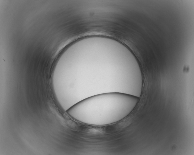 X0000111930160200908241124