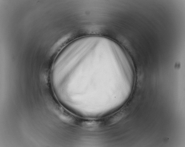 X0000111930161200908241124