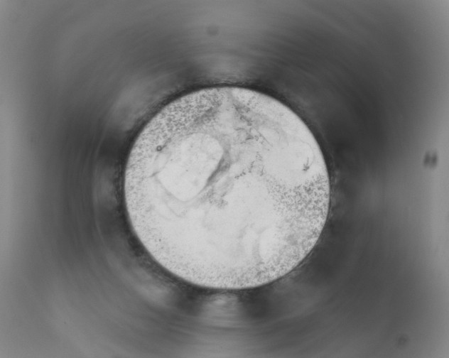 X0000111930162200908241124