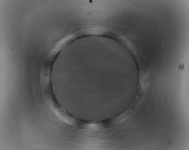 X0000111930163200908241124