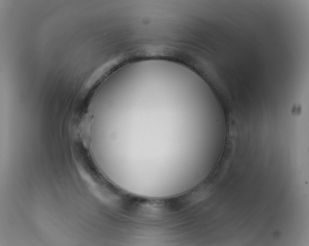 X0000111930164200908241124