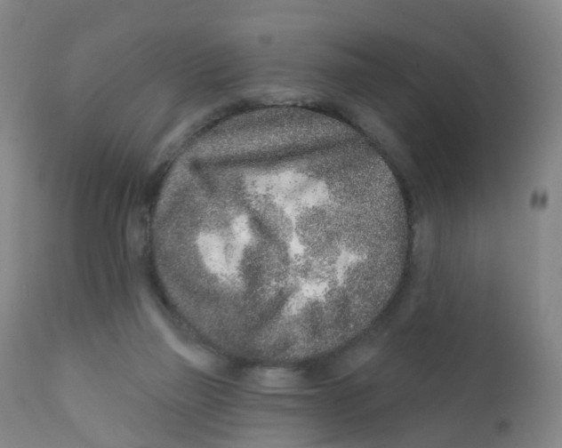 X0000111930165200908241124