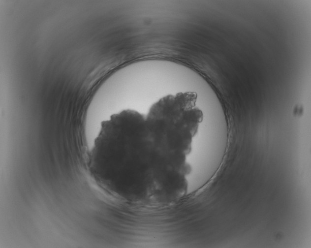 X0000111930166200908241124