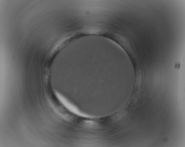 X0000111930167200908241124