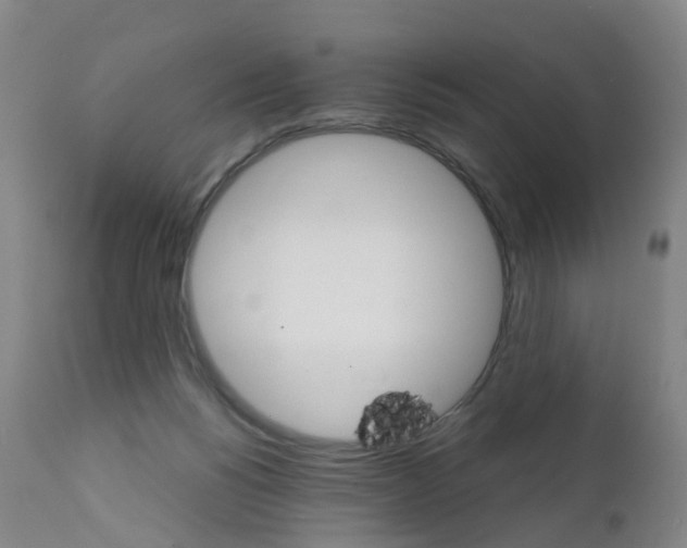 X0000111930168200908241124