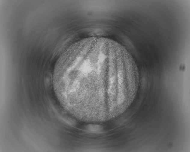 X0000111930169200908241124