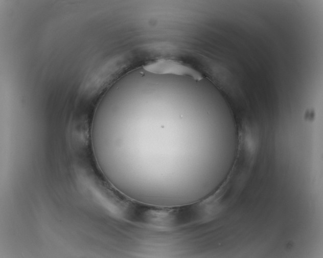 X0000111930170200908241124