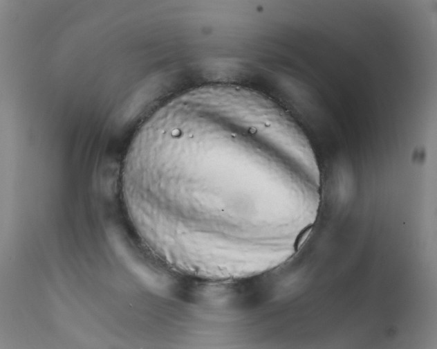 X0000111930171200908241124