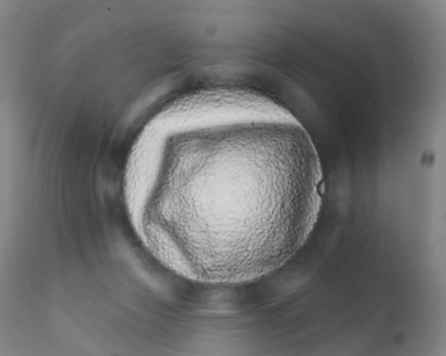 X0000111930173200908241124