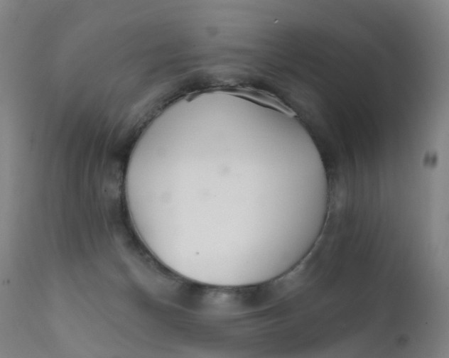 X0000111930174200908241124