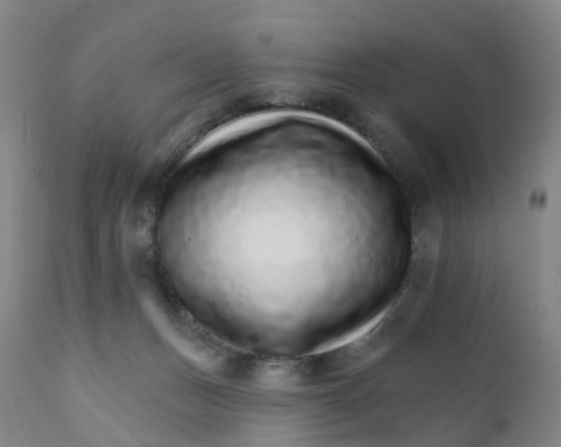 X0000111930175200908241124