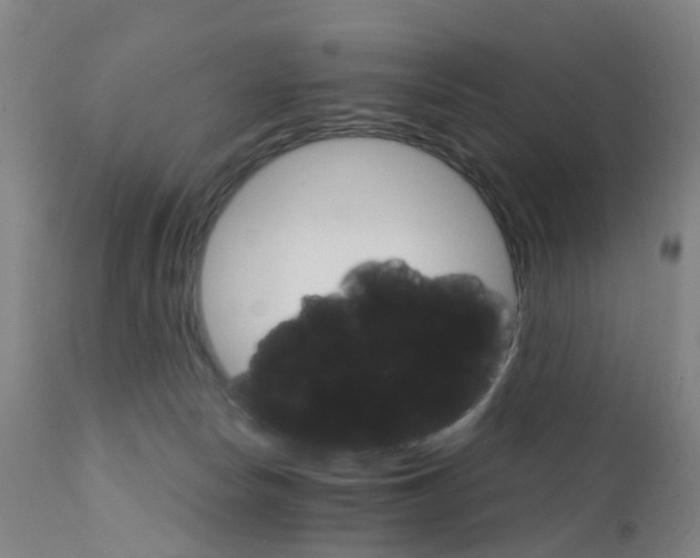 X0000111930178200908241124