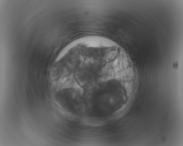 X0000111930179200908241124