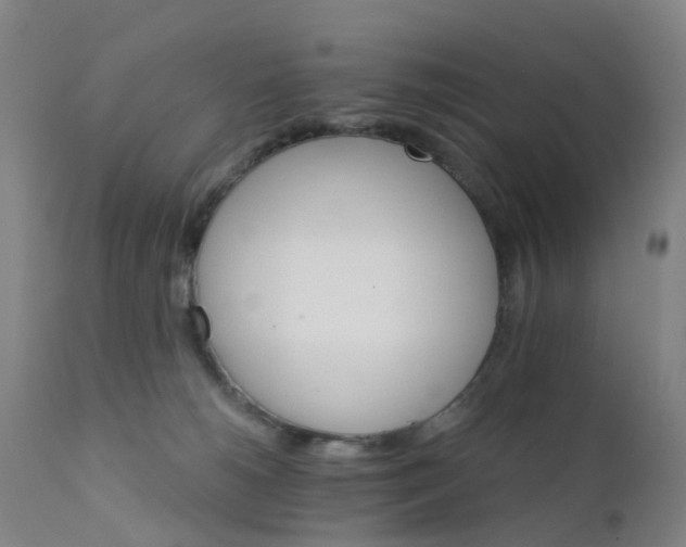 X0000111930180200908241124