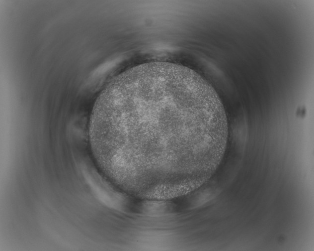 X0000111930181200908241124