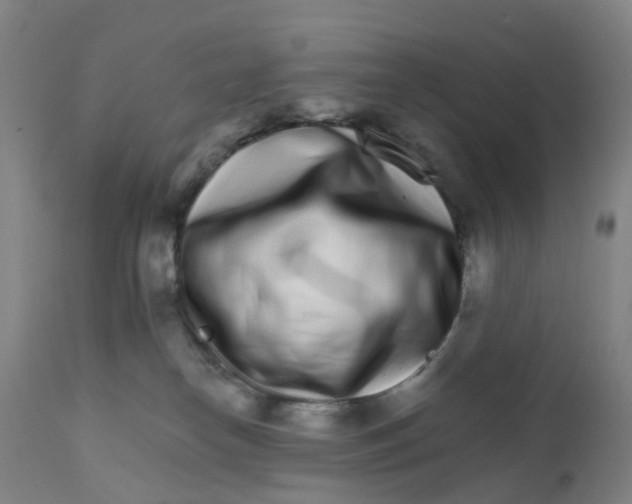 X0000111930182200908241124