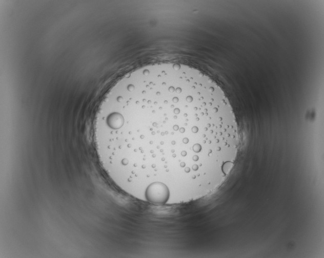 X0000111930187200908241124