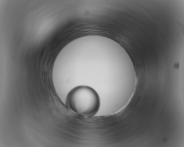 X0000111930190200908241124