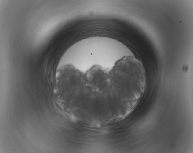 X0000111930191200908241124