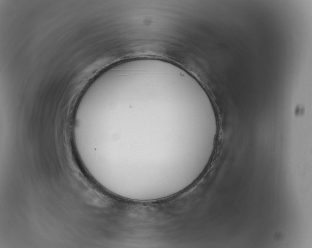 X0000111930193200908241123