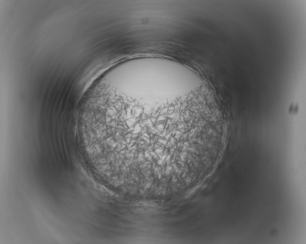 X0000111930194200908241123