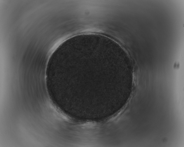 X0000111930196200908241123