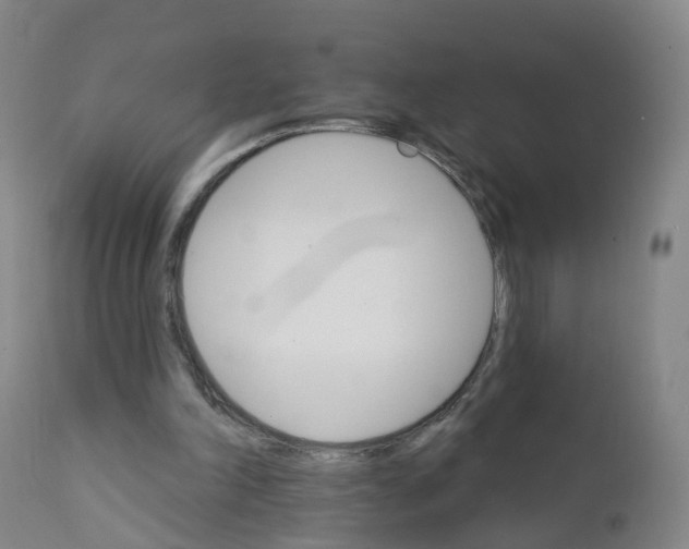 X0000111930198200908241123