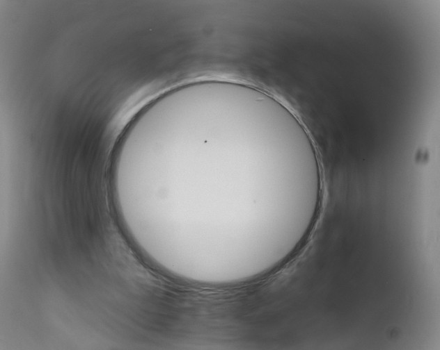 X0000111930199200908241123