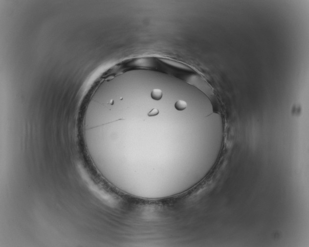 X0000111930200200908241123