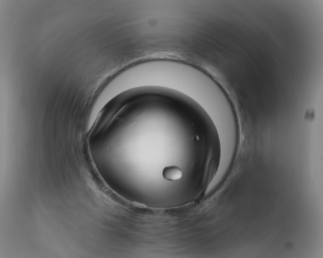 X0000111930201200908241123