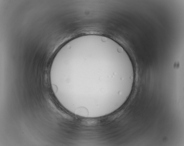 X0000111930202200908241123