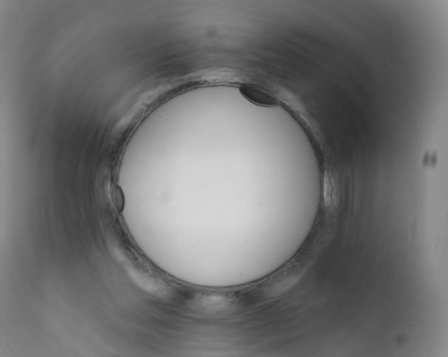 X0000111930205200908241123