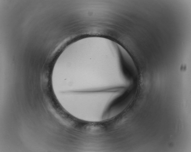 X0000111930208200908241123